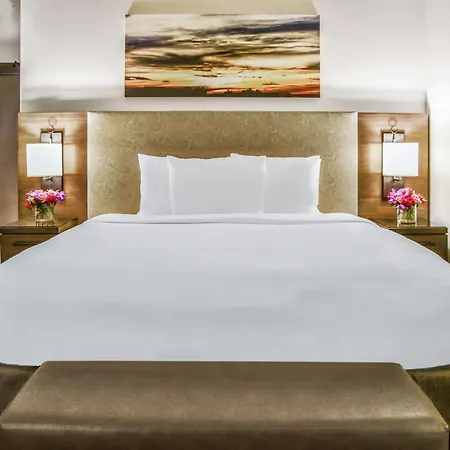 Hilton Dallas-Park Cities-2